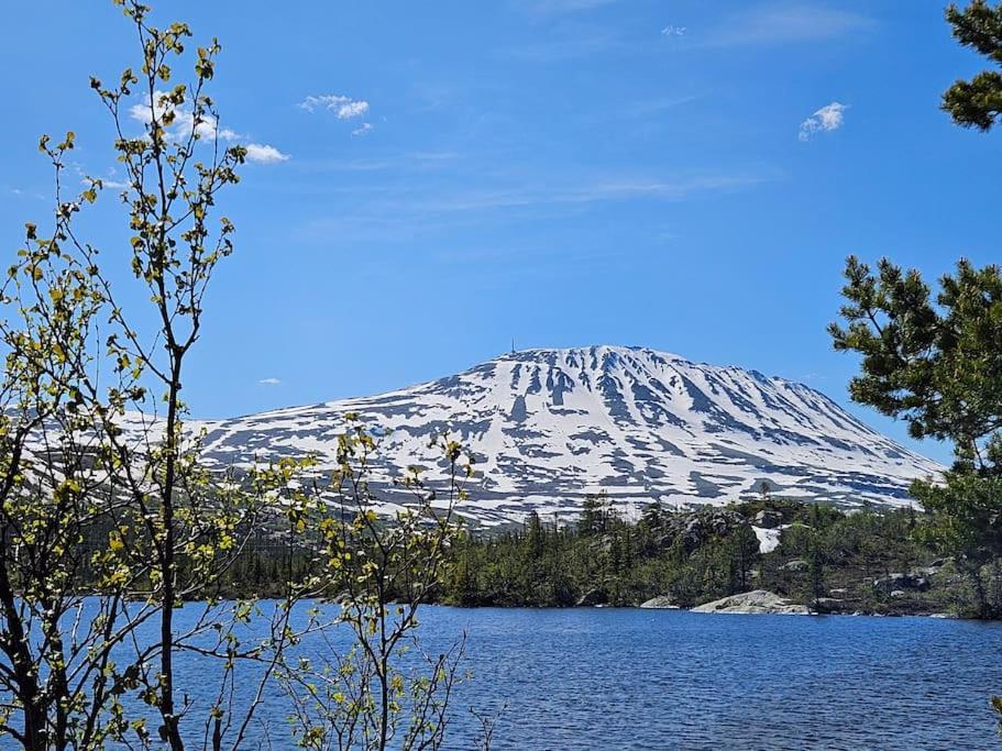 Ny Leilighet Med Flott Utsikt Til Gaustatoppen Rjukan Exterior photo